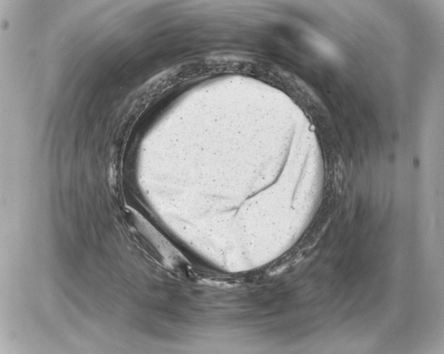 X0000085210821200704091904