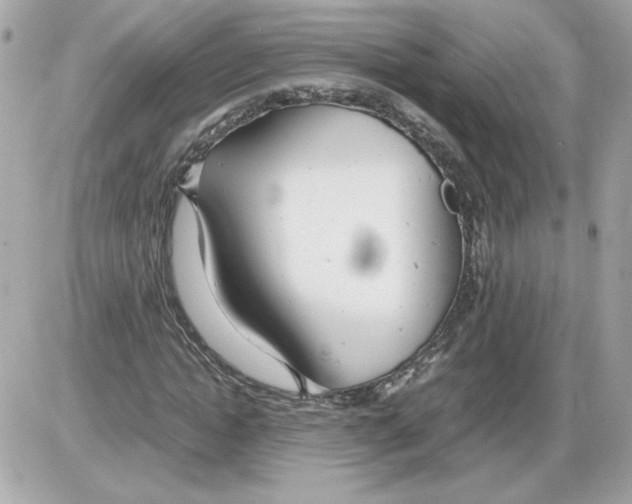 X0000085210822200704091904