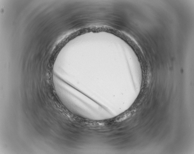 X0000085210823200704091904