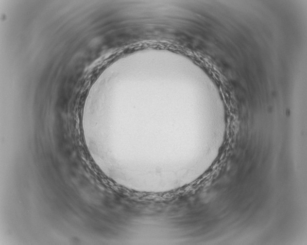 X0000085210824200704091904