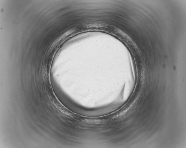 X0000085210825200704091904