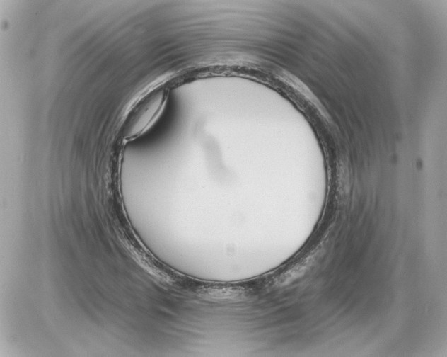 X0000085210826200704091904