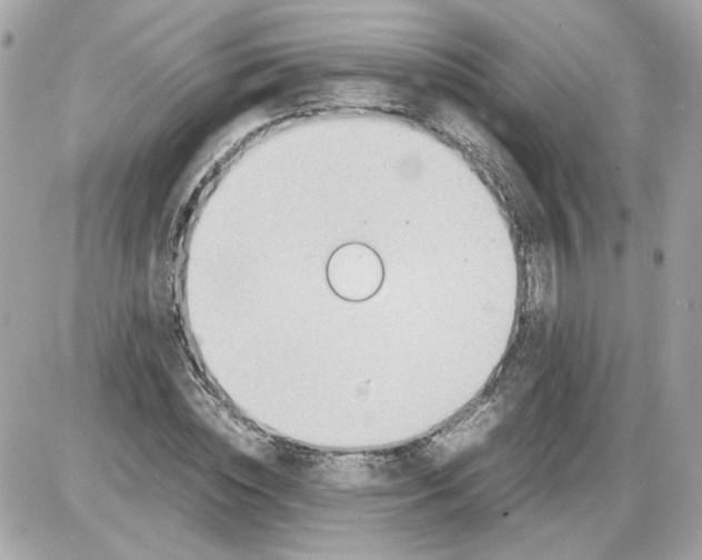 X0000085210828200704091904