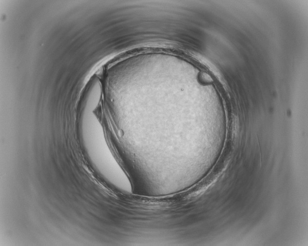 X0000085210829200704091904