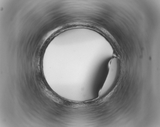 X0000085210830200704091904