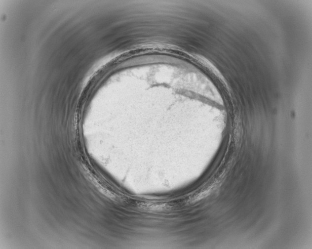 X0000085210831200704091904