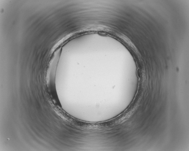 X0000085210834200704091904