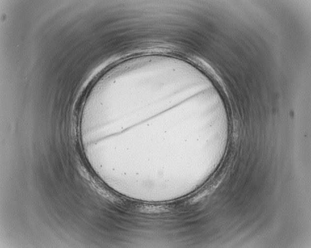 X0000085210835200704091904