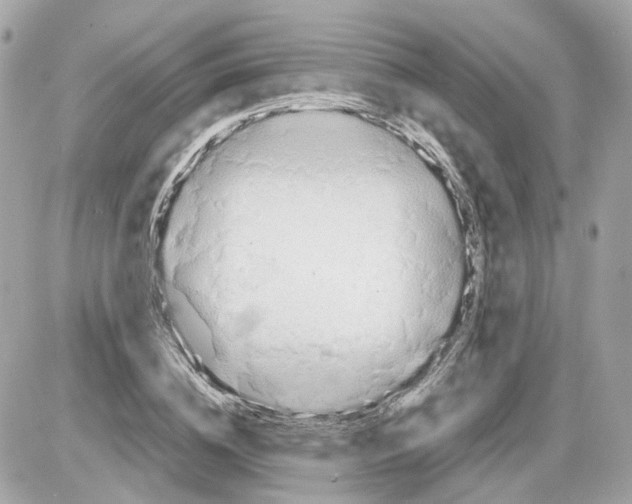 X0000085210836200704091904