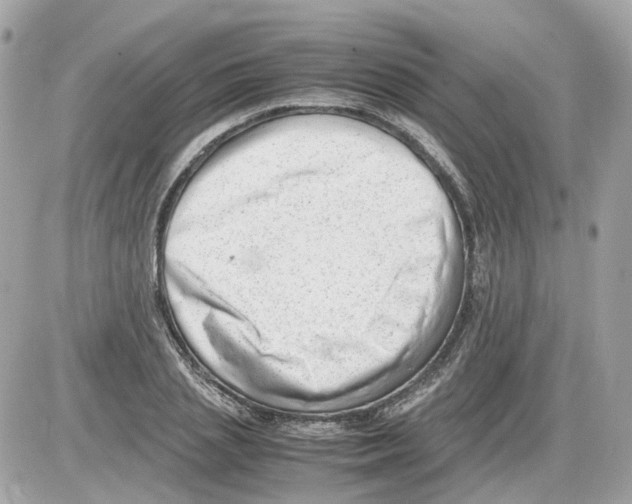 X0000085210837200704091904