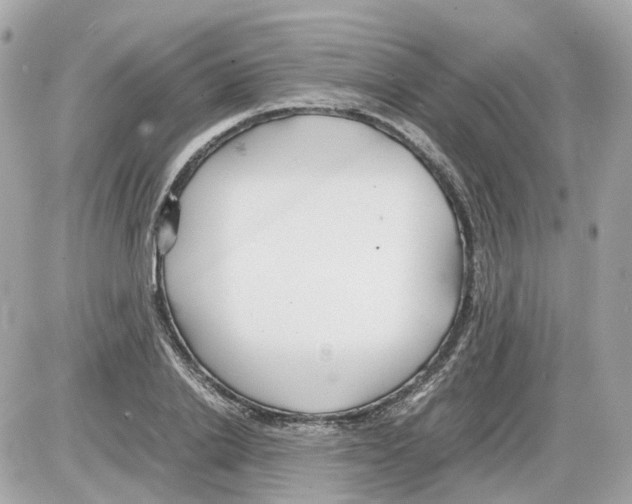 X0000085210838200704091904