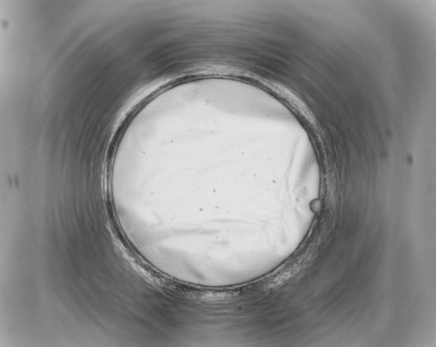 X0000085210839200704091904