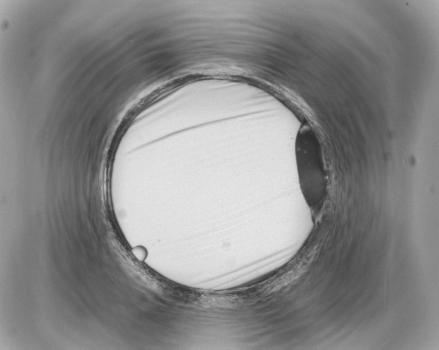 X0000085210840200704091904