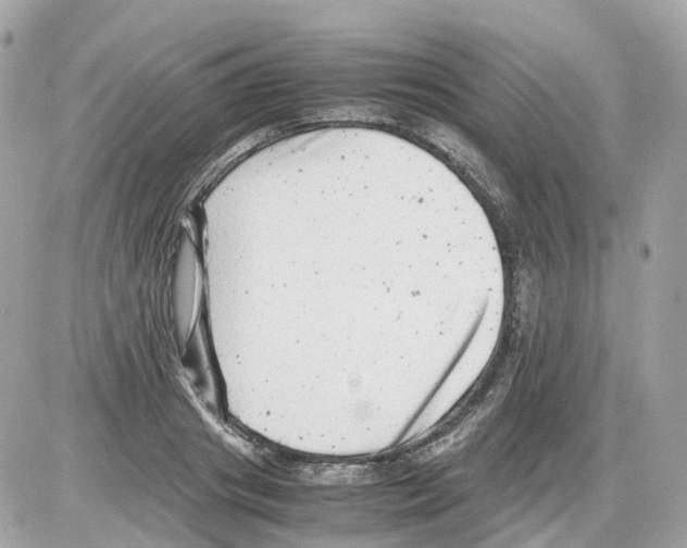 X0000085210841200704091904