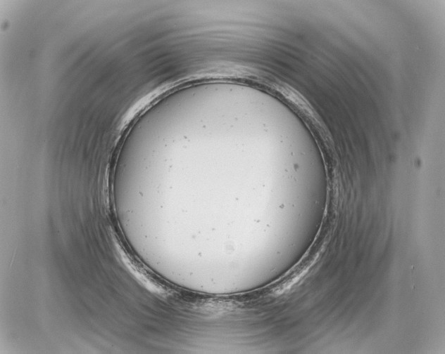 X0000085210842200704091904