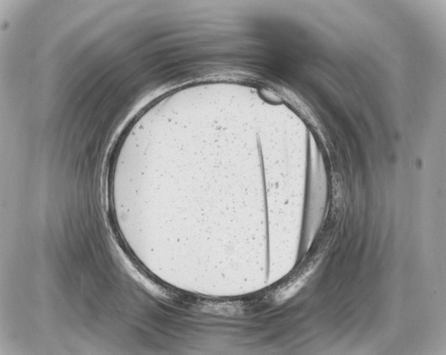 X0000085210843200704091904