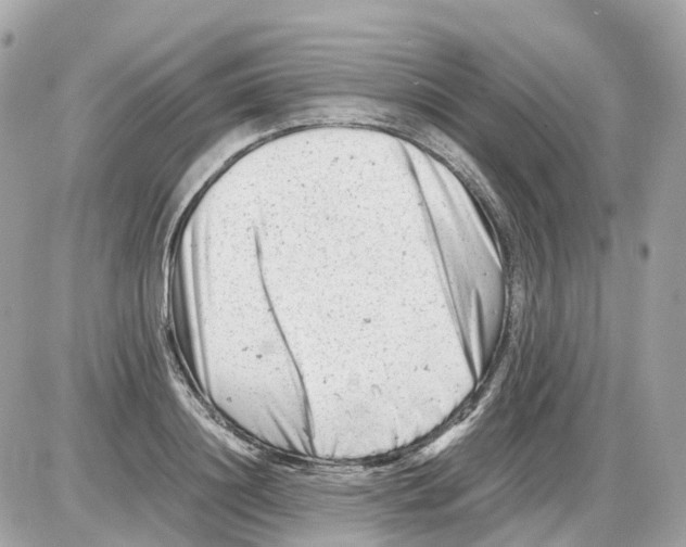 X0000085210844200704091904