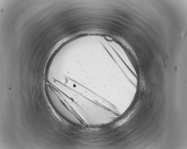 X0000085210845200704091904