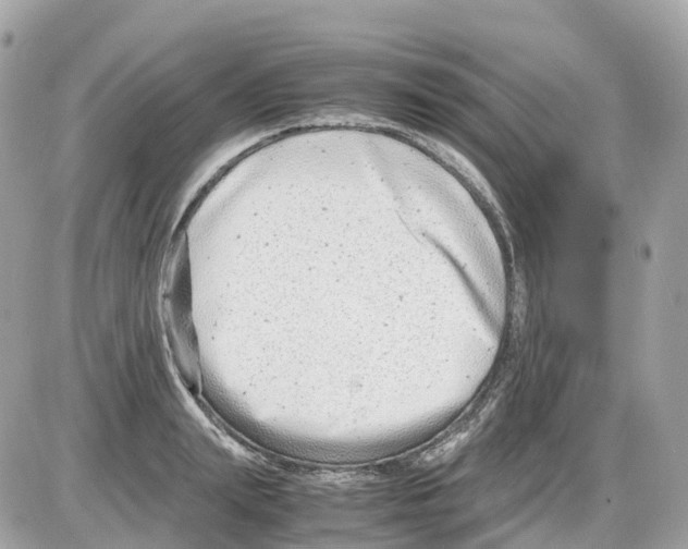 X0000085210847200704091904