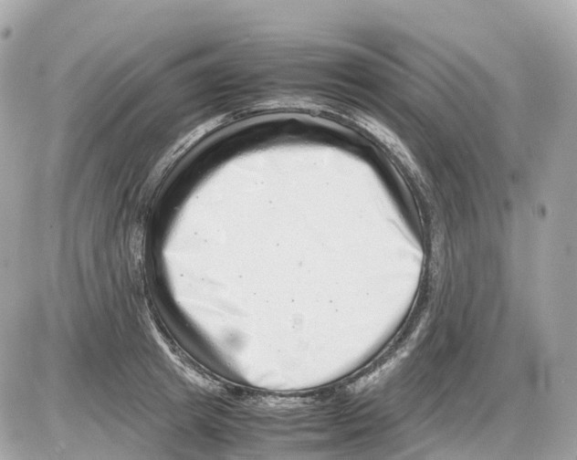 X0000085210849200704091904