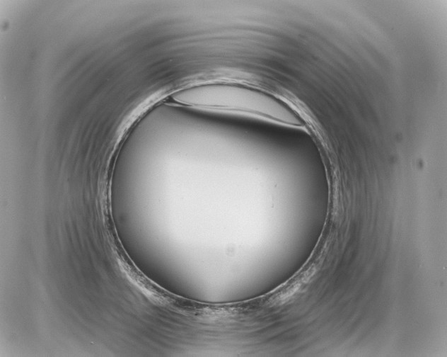 X0000085210850200704091904