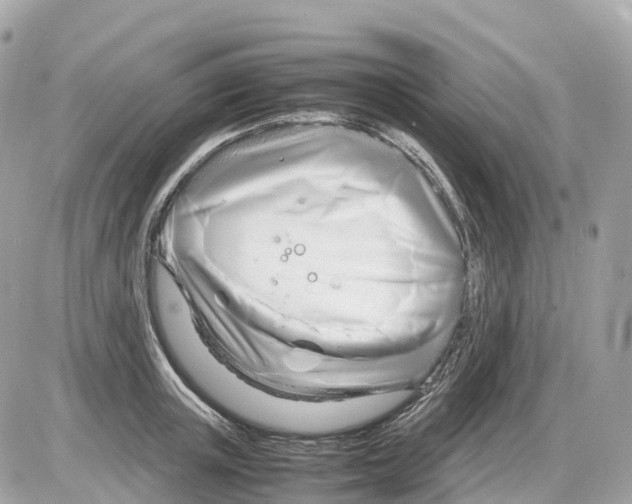 X0000085210851200704091904