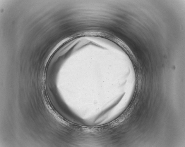 X0000085210852200704091904