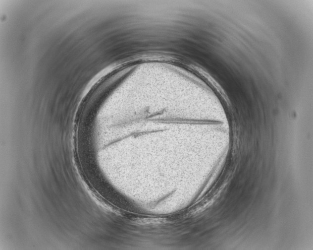 X0000085210853200704091904