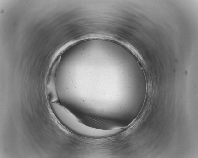 X0000085210854200704091904