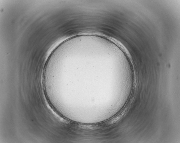 X0000085210855200704091904