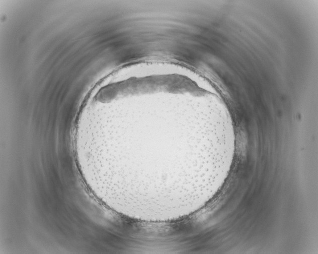 X0000085210856200704091904