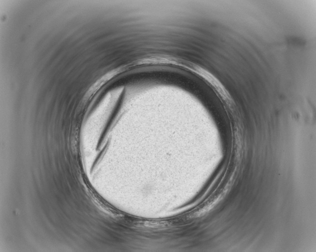 X0000085210857200704091904