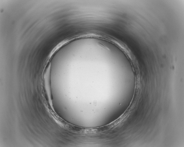 X0000085210858200704091904