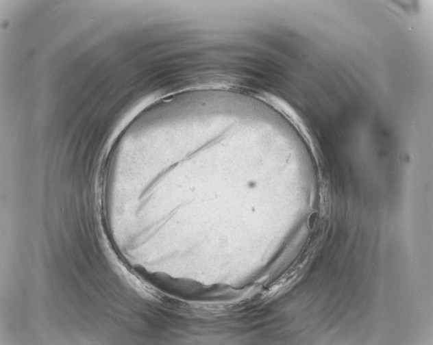 X0000085210859200704091904