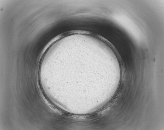 X0000085210861200704091904