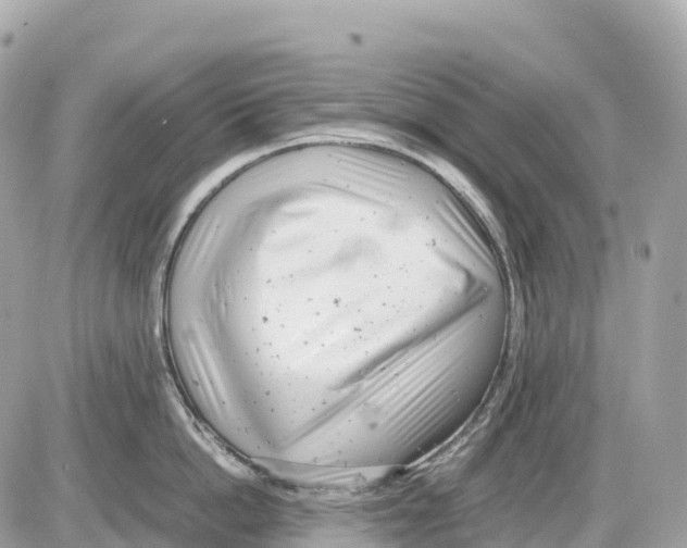 X0000085210862200704091904