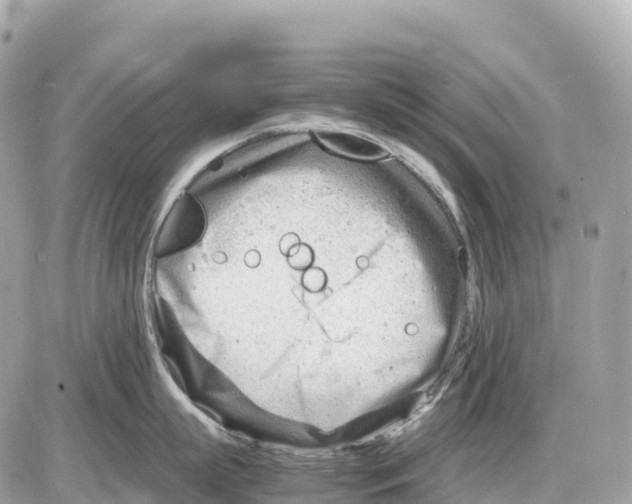 X0000085210863200704091904