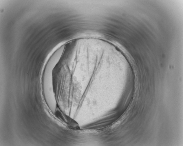 X0000085210864200704091904