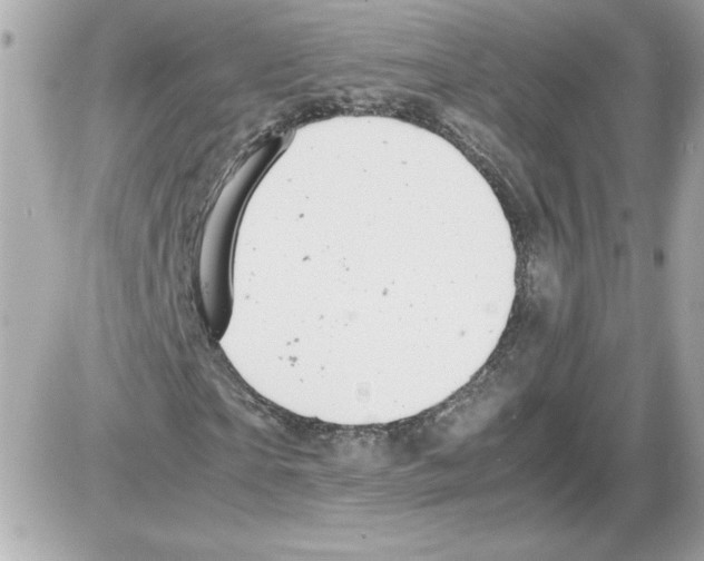 X0000085210865200704091904