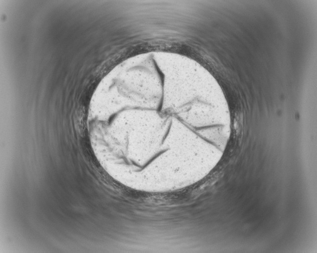 X0000085210867200704091904