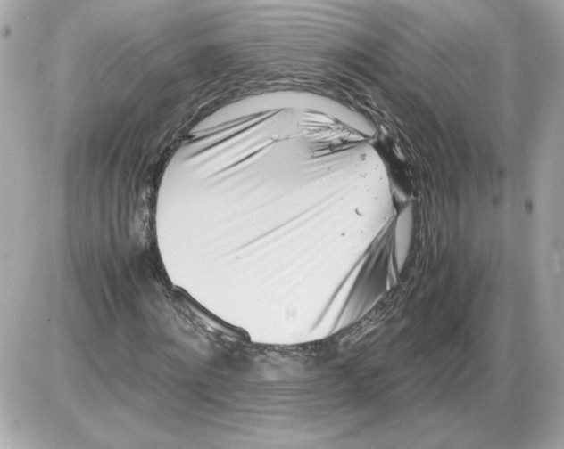 X0000085210868200704091904