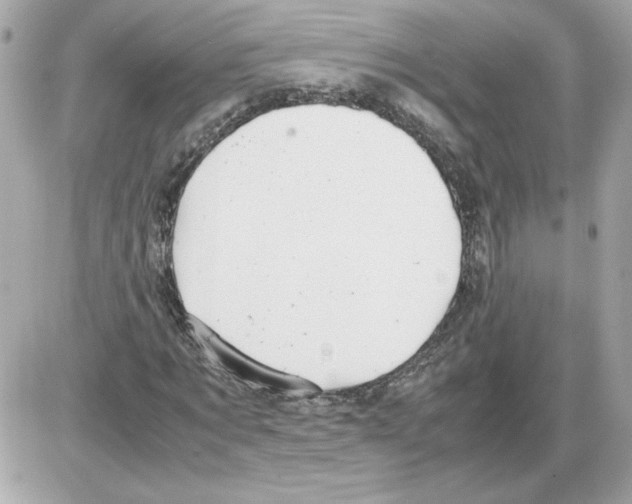 X0000085210869200704091904