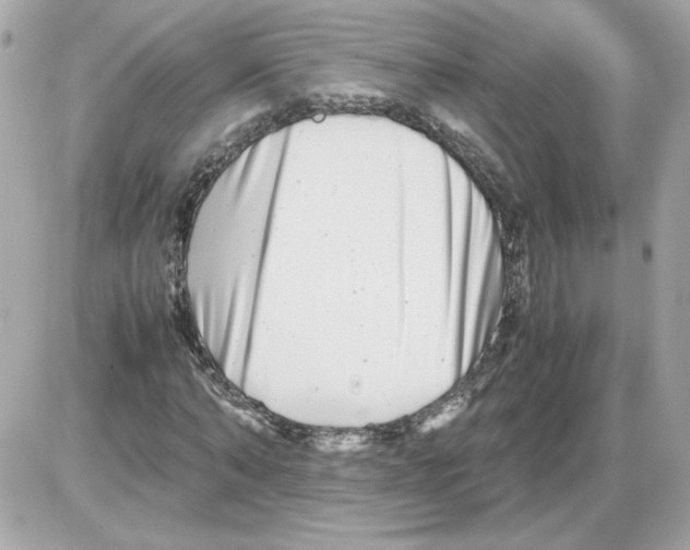 X0000085210870200704091904