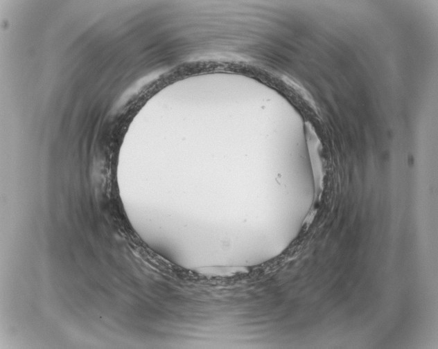 X0000085210872200704091904