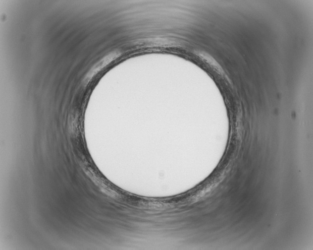 X0000085210873200704091904