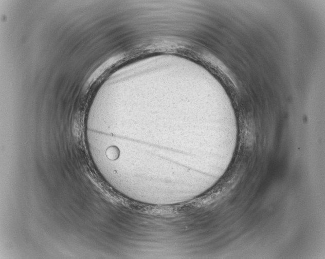 X0000085210874200704091904