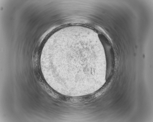 X0000085210875200704091904