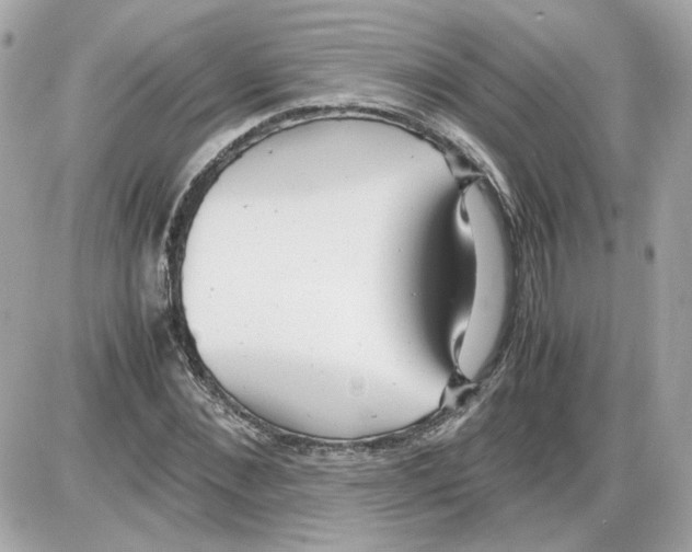 X0000085210876200704091904