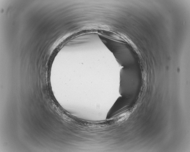 X0000085210877200704091903