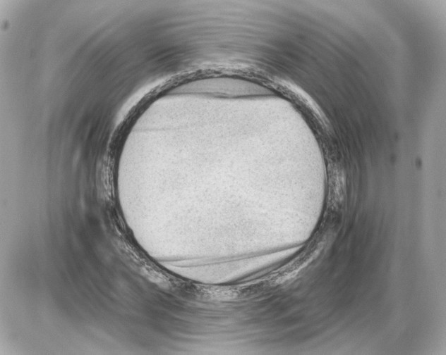 X0000085210878200704091903